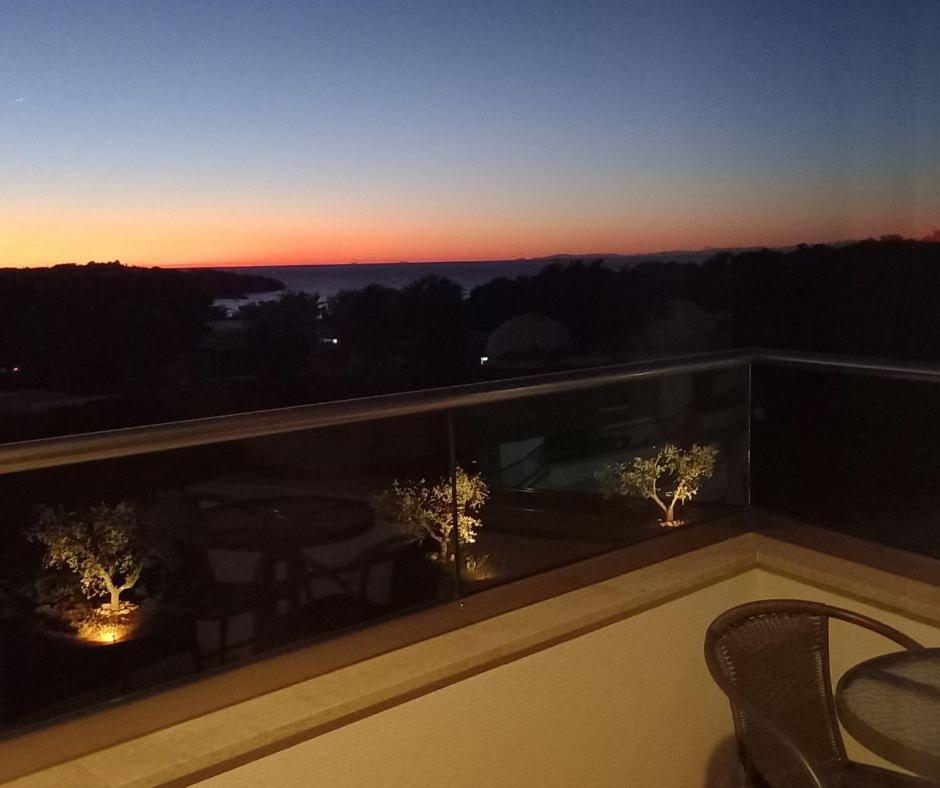 Hotel Delfin Lanterna Tar-Vabriga エクステリア 写真